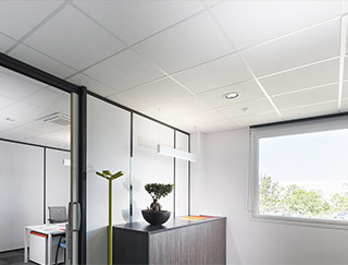faux plafonds suspendus bureaux